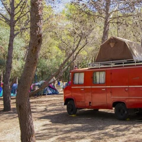 Kampeerplaats - Kampeerplaats Luchtcamping