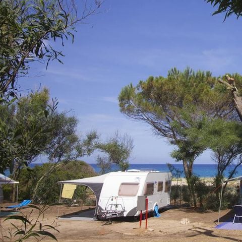 Kampeerplaats - Maxi Camperplaats