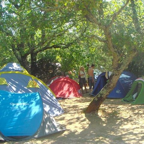 Kampeerplaats - Comfort standplaats pakket