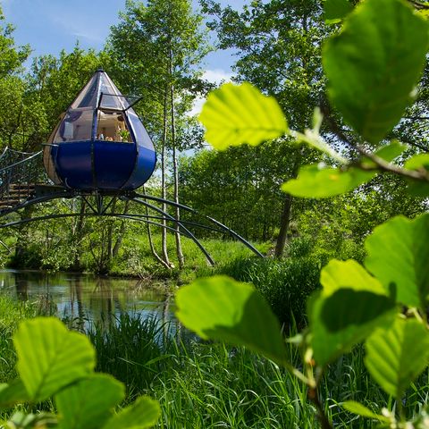Camping Domaine du Lieu Dieu Camping Domaine du Lieu Dieu - Camping Somme - Image N°11