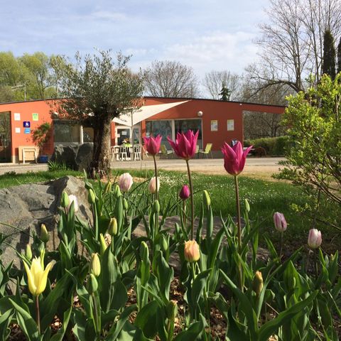 Stellplatz - Pauschale Stellplatz + Fahrzeug