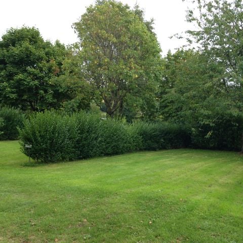 Pitch - 1 car + tent or caravan