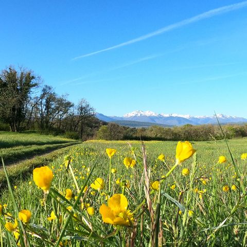 MOBILHOME 6 personnes - Vintage 2 chambres (Location de samedi à samedi du 8/07 au 26/08) 4 pers.