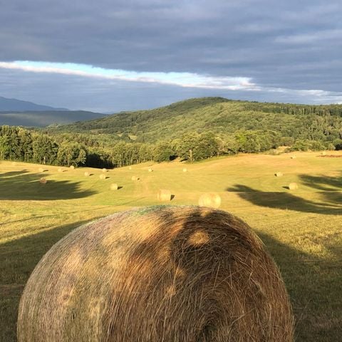 TENDA DA CAMPEGGIO 4 persone - Tenda per 4 persone completamente attrezzata (da domenica a domenica dal 07/07/24 al 01/09/24) 4 pers.