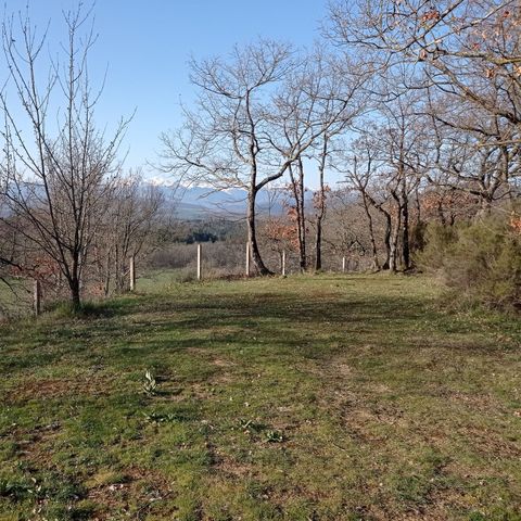 PIAZZOLA - Pacchetto natura - Piazzola + tenda o roulotte + 1 auto