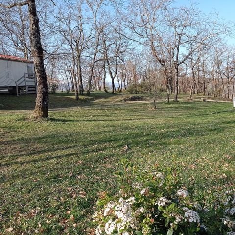 PLOT - Comfort package - Pitch + tent or caravan + 1 car + electricity