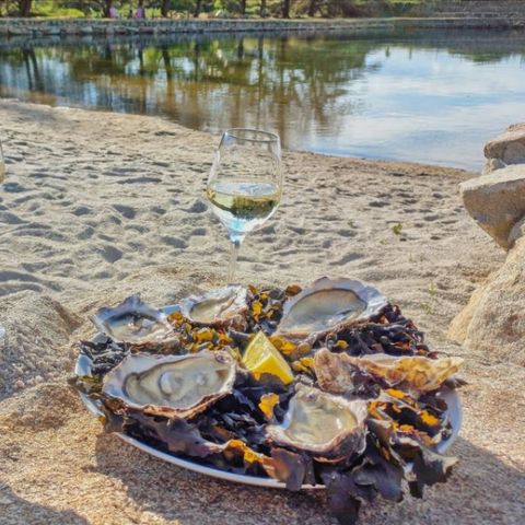 Safaritent 5 personen - Lodge Tent 2 sl.k.