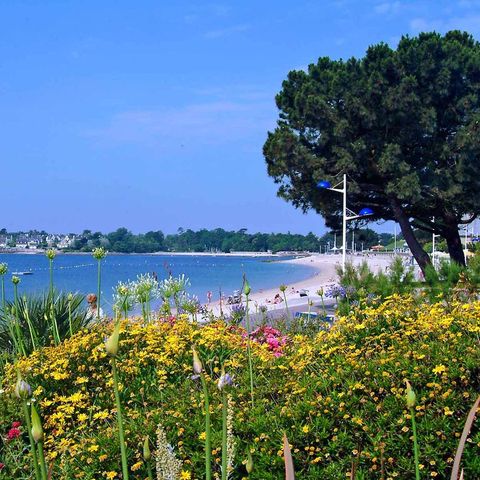 Camping Port de Plaisance Camping Port de Plaisance - Camping Finistere - Image N°21
