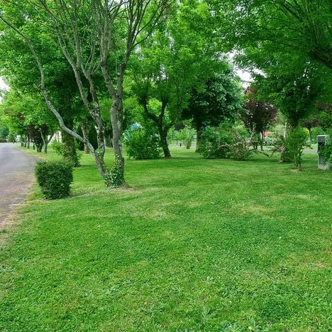 PLOT - Electrified Pitch