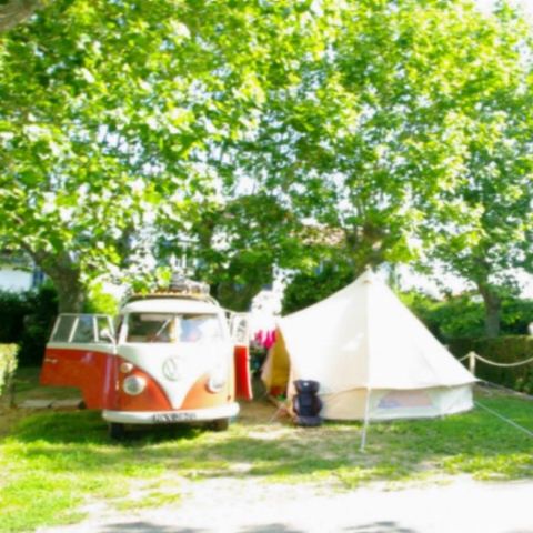 STAANPLAATS - Premium kampeerplaats