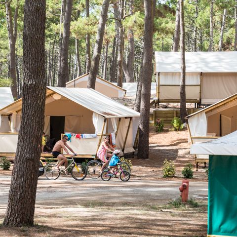 Camping Campéole Le Vivier Camping Campéole Le Vivier - Camping Landes - Image N°13