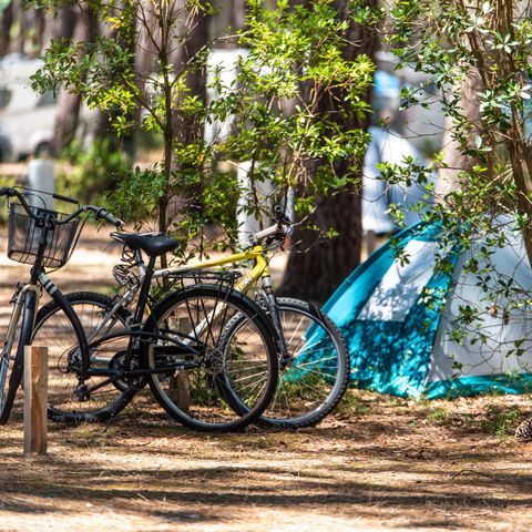 PARCELA - con electricidad