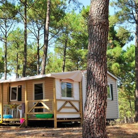 MOBILHOME 6 personnes