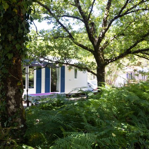 BUNGALOW 4 personnes - 30 m² 2 chambres n° 40 samedi au samedi