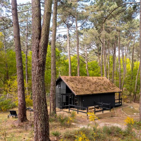 BUNGALOW 8 persone - Cabane Signature Tribu 4 camere da letto