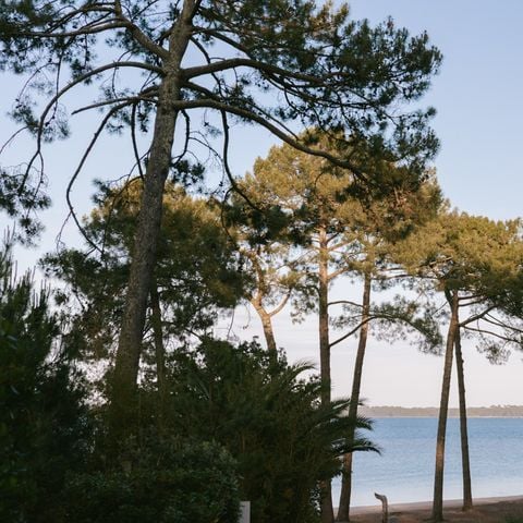 Slow Village Biscarrosse Lac  - Camping Landes - Image N°2