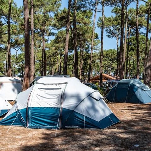 PIAZZOLA - con l'elettricità