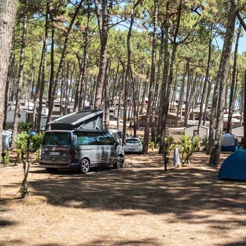 EMPLACEMENT - avec électricité