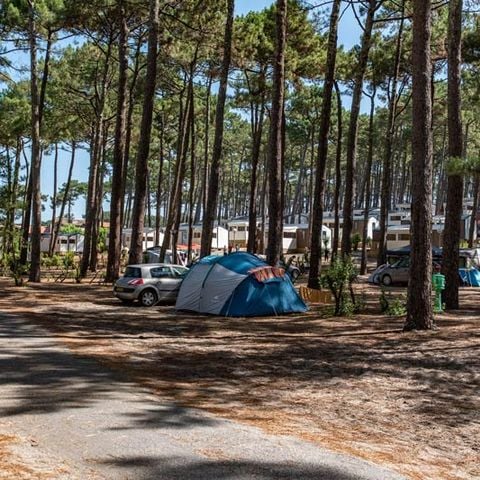 Stellplatz - mit Strom