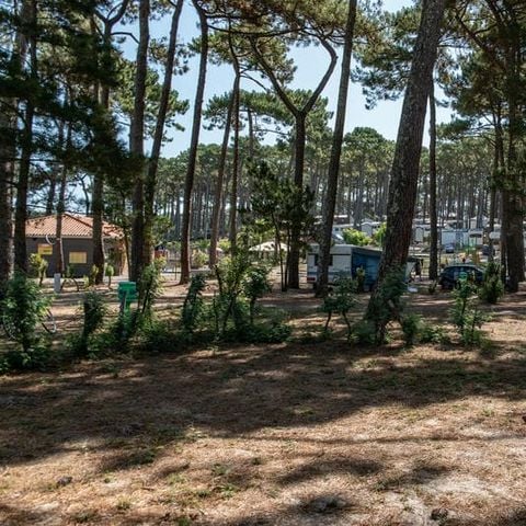 EMPLACEMENT - avec électricité