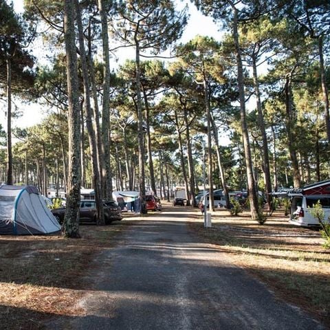 Stellplatz - mit Strom
