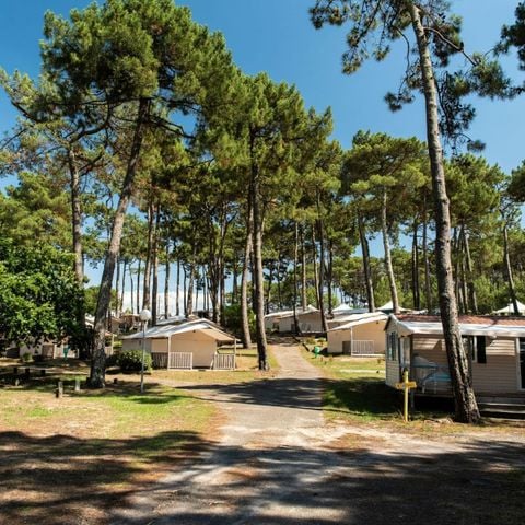 MOBILHOME 6 personas - Cottage Venezia Confort 3 dormitorios 6 personas