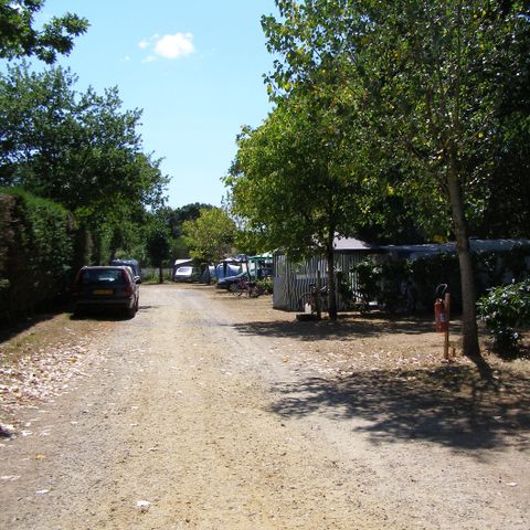 PARCELA - Parcela "ECO" : Caravana o autocaravana 2 pers. + 1 coche + 10A electricidad