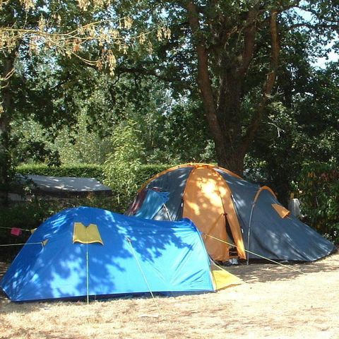 Stellplatz - Stellplatz "ECO": Wohnwagen oder Wohnmobil 2 Pers. + 1 Auto + Strom 10A