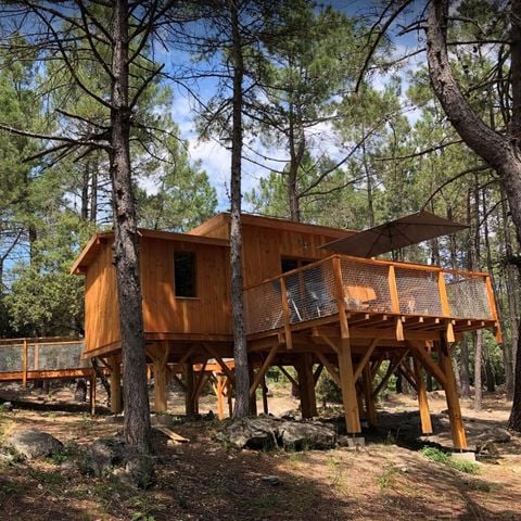 Unterkunft 4 personen - CABANE PERCHEE ROBINSON 2 Zimmer ohne Sanitäranlagen