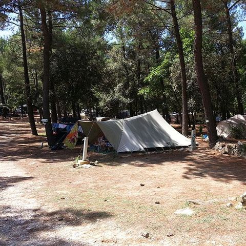 PIAZZOLA - Piazzola per 1 persona e corrente elettrica inclusa - disattivata su richiesta del campeggio