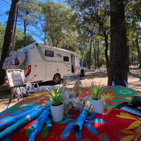 PIAZZOLA - Pacchetto per 2 persone + 1 tenda o roulotte o camper) ed elettricità inclusa - disattivabile su richiesta del campeggio