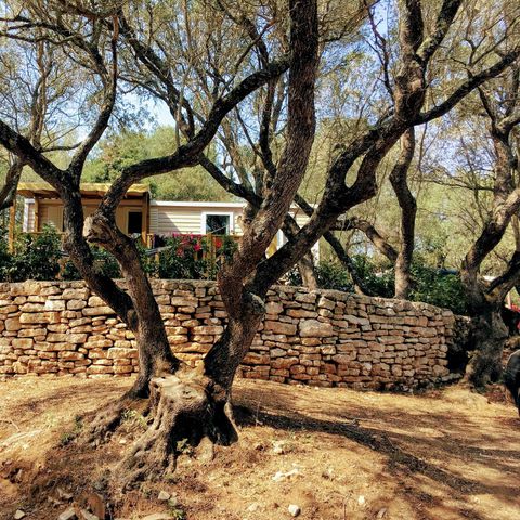 BUNGALOW 6 personnes - 3 chambres + climatisation