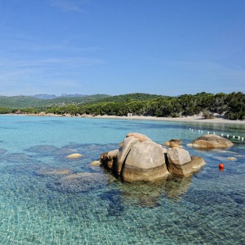 Camping Campo di Liccia Camping Campo di Liccia - Camping Corse du sud - Image N°27