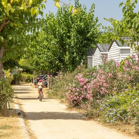 Camping El Pinar - Camping Gérone - Image N°6