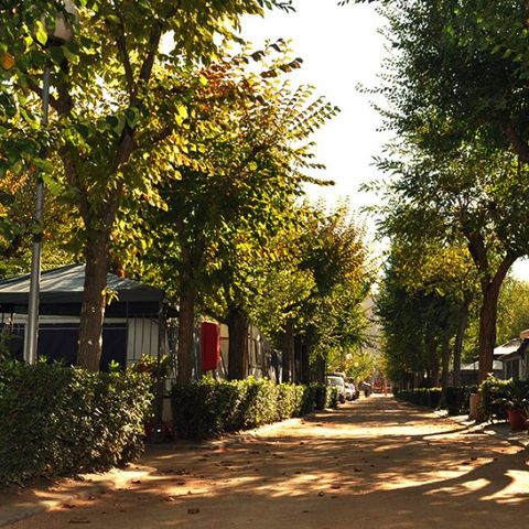 PIAZZOLA - NORMALE - 60m2 - tenda O roulotte