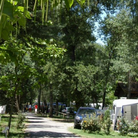 STAANPLAATS - Camping Elektriciteit 10A