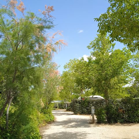 Kampeerplaats - Parcella