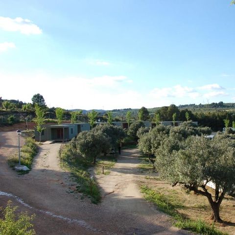 Camping Terra Alta - Camping Tarragone - Image N°3