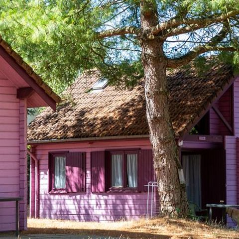 Chalet 5 personen - Bloemen