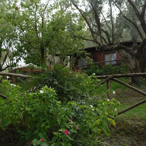 CHALET 4 personnes - CHALET 4 personnes