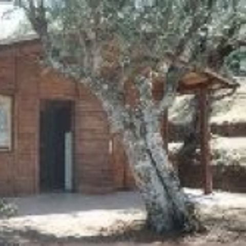 CHALET 4 personas - CHALET 4 personas