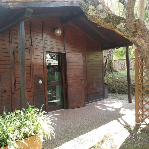 Chalet 4 persons - CHALET 4 people
