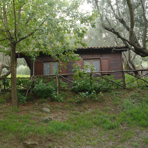 Chalet 4 persons - CHALET 4 people