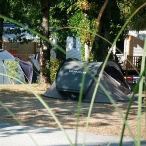 Kampeerplaats - Pakket B: met voertuig + 6A elektriciteit