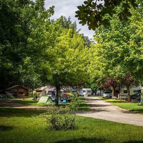 PIAZZOLA - Pacchetto natura (1 tenda, roulotte o camper / 1 auto)