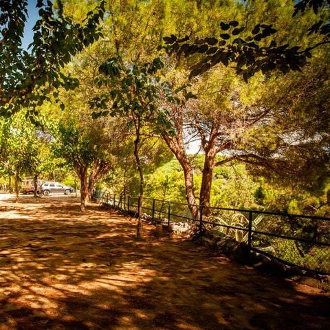 EMPLACEMENT - Pack Standard (2 adultes + caravane / tente + voiture ou camping-car + électricité)