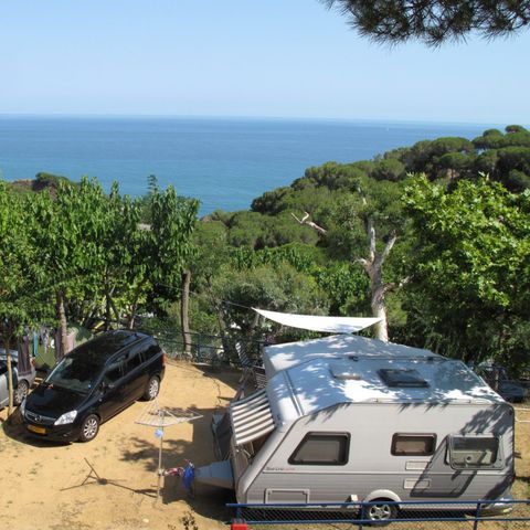 Kampeerplaats - Standaardpakket (2 volwassenen + caravan / tent + auto of camper + elektriciteit)