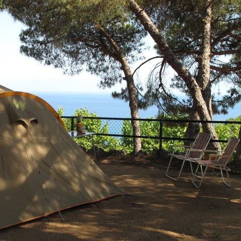 PLOT - Family Pack (2 adults + 2 children + caravan/tent + car or motorhome + electricity)