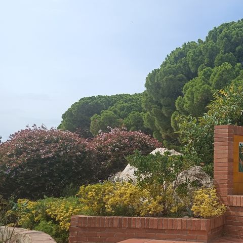 BUNGALOW 5 persone - Bungalow Morea da 5 posti letto, terrazza coperta, aria condizionata, TV, 25 m².