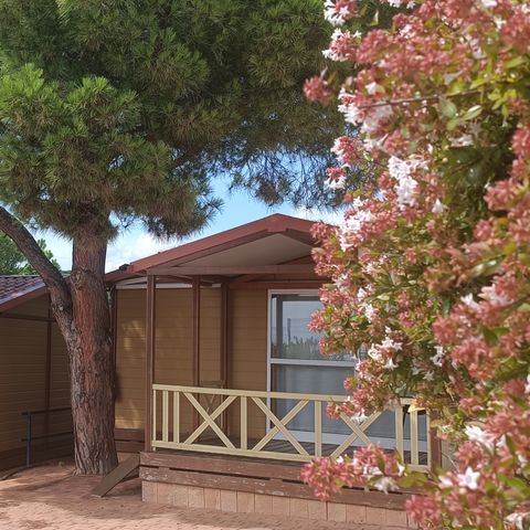 Bungalow 5 personen - Bungalow Morea 5 Plätze, überdachte Terrasse, Klimaanlage, TV, 25m²